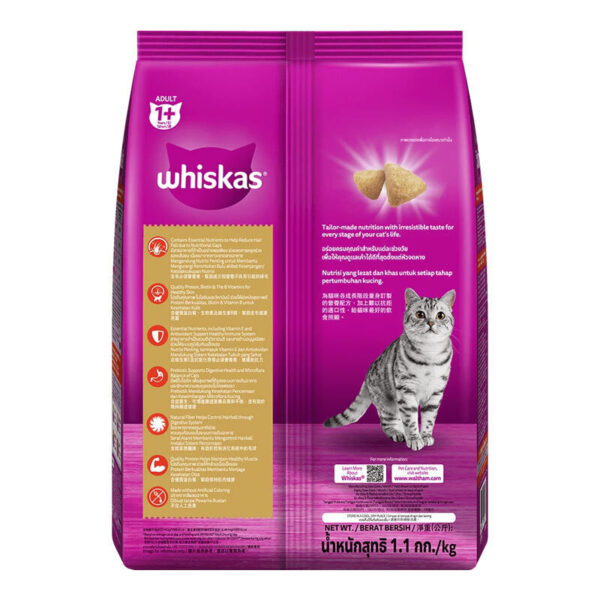 غذای خشک گربه تقویت پوست و مو ویسکاس با طعم مرغ و ماهی سالمون Whiskas Skin and Coat