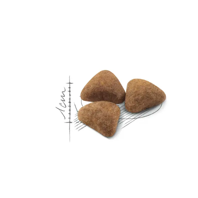 غذای گربه رویال کنین ایندور غذای گربه رویال کنین ایندور