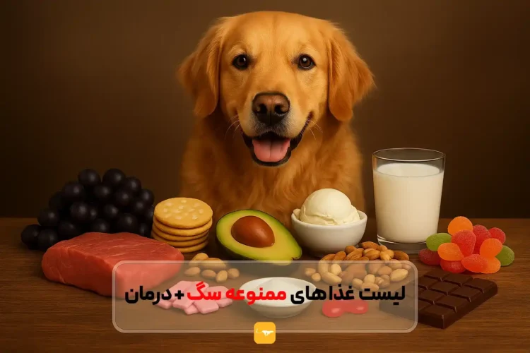 غذاهای ممنوعه برای سگ: لیست کامل خوراکی‌های خطرناک که هرگز نباید به سگ‌تان بدهید