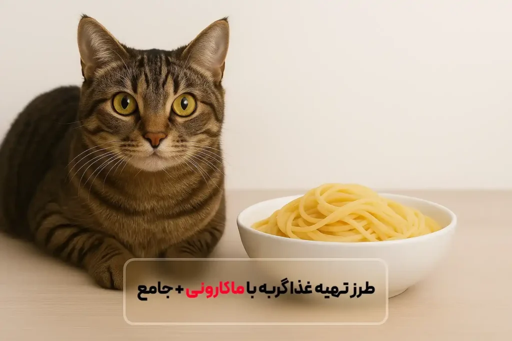 طرز تهیه غذا گربه با ماکارونی