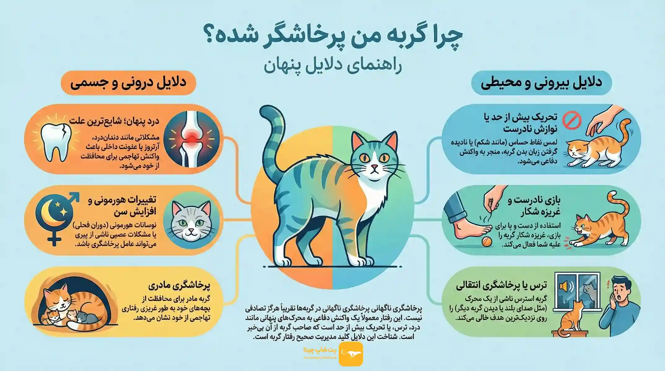 اینفوگرافی علت وحشی شدن گربه خانگی