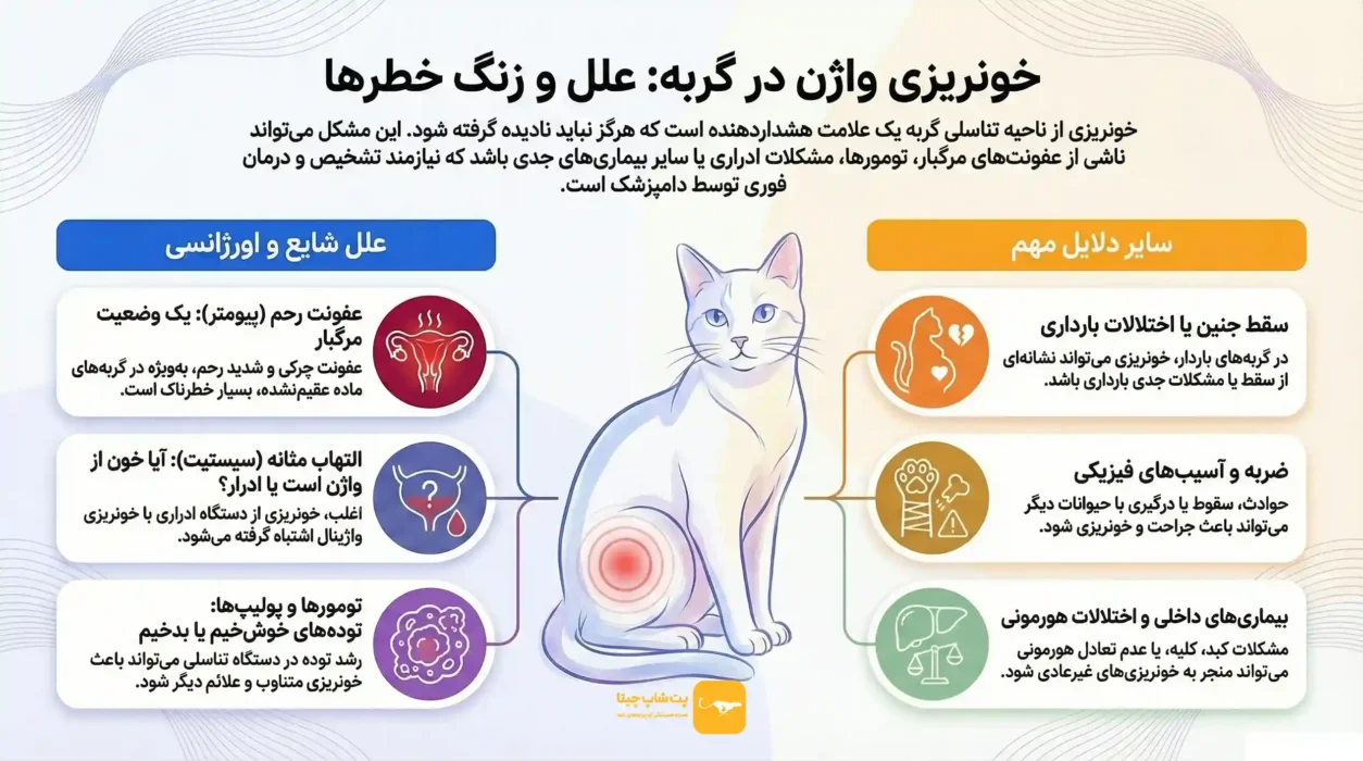 علت خونریزی در گربه ماده