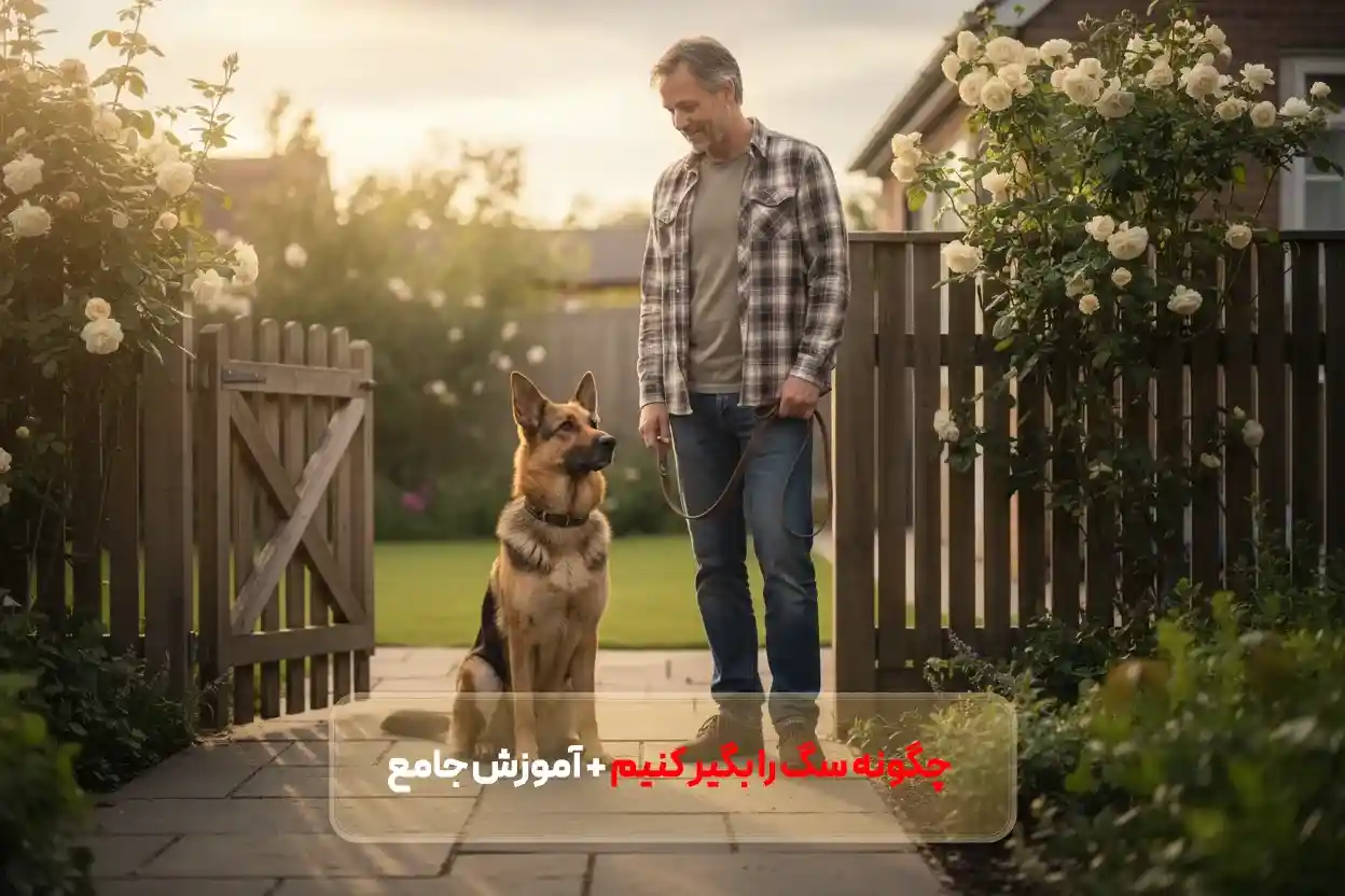 چگونه سگ را بگیر کنیم؟ | آموزش اصولی سگ نگهبان بدون خشونت