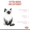 غذای خشک بچه گربه رویال کنین مدل kitten
