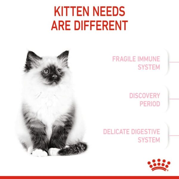 غذای خشک بچه گربه رویال کنین مدل kitten