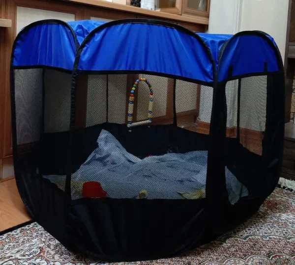 پارک برزنتی سگ و گربه