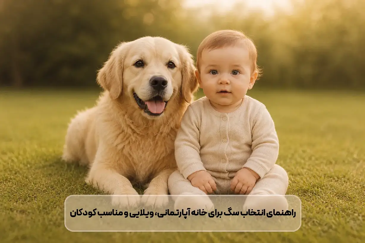 بهترین نژاد سگ خانگی + راهنمای انتخاب سگ برای خانه آپارتمانی، ویلایی و مناسب کودکان