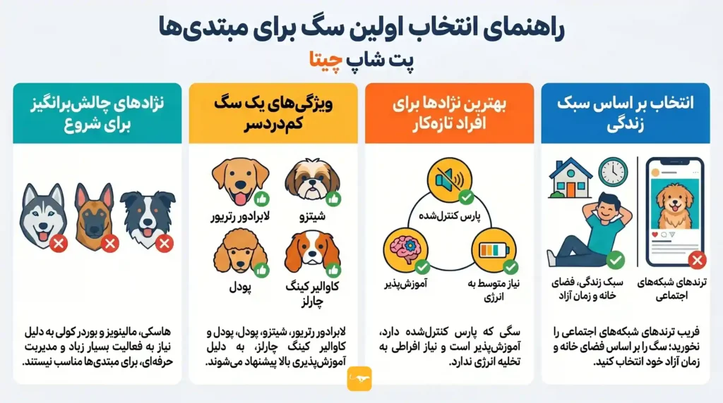 اینفوگرافی انتخاب سگ