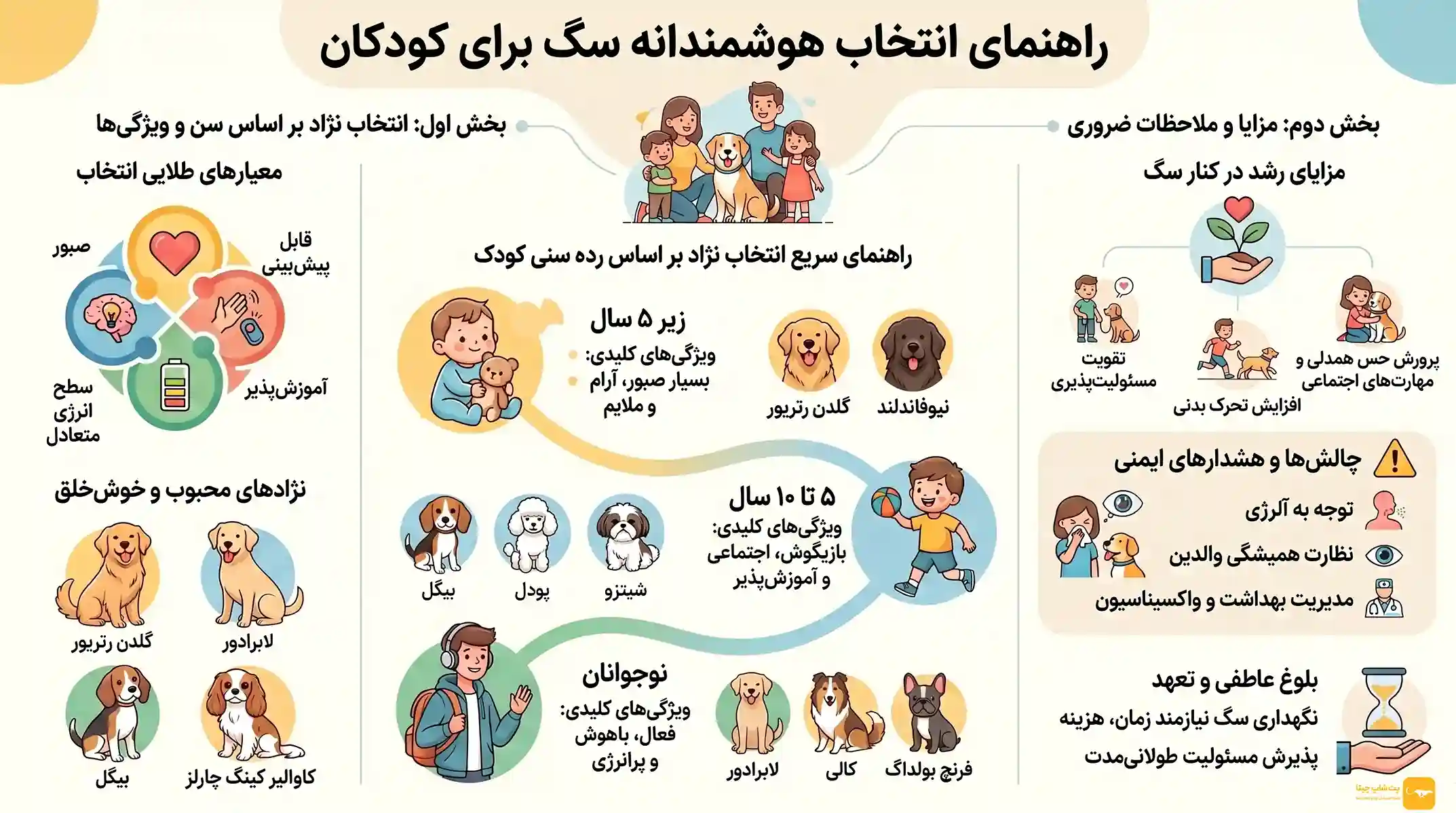 اینفوگرافی سگ برای کودک