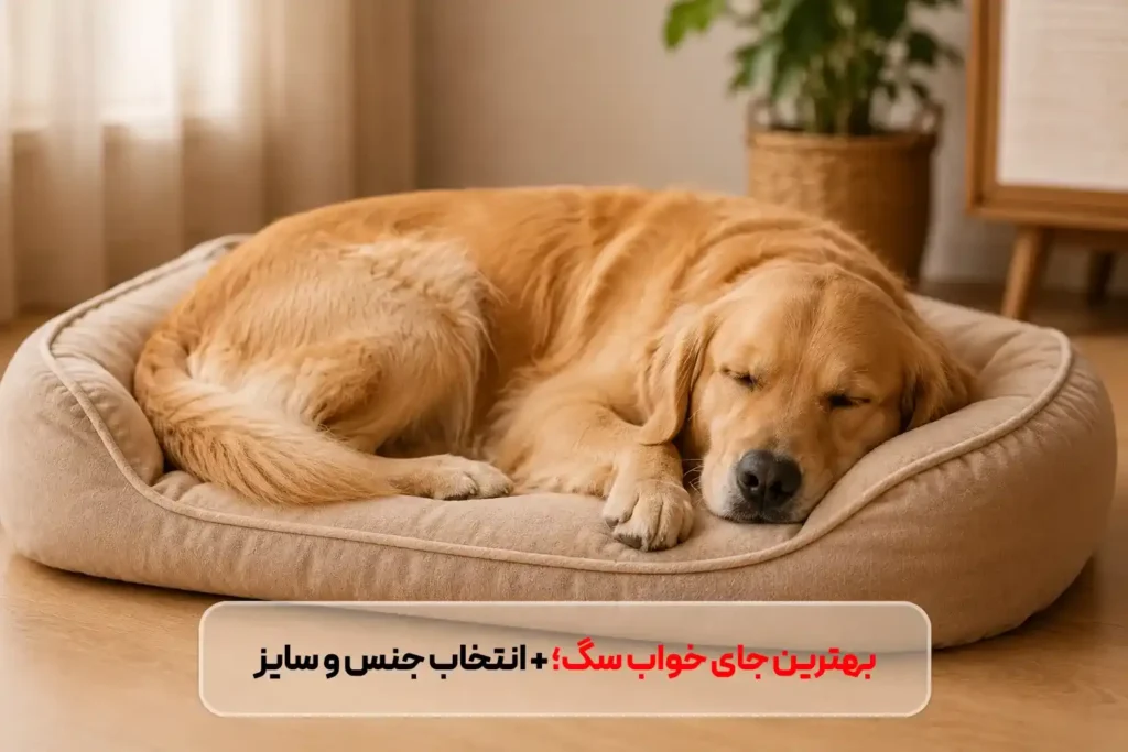 بهترین جای خواب سگ؛ از انتخاب جنس و سایز تا معرفی مدل‌های محبوب