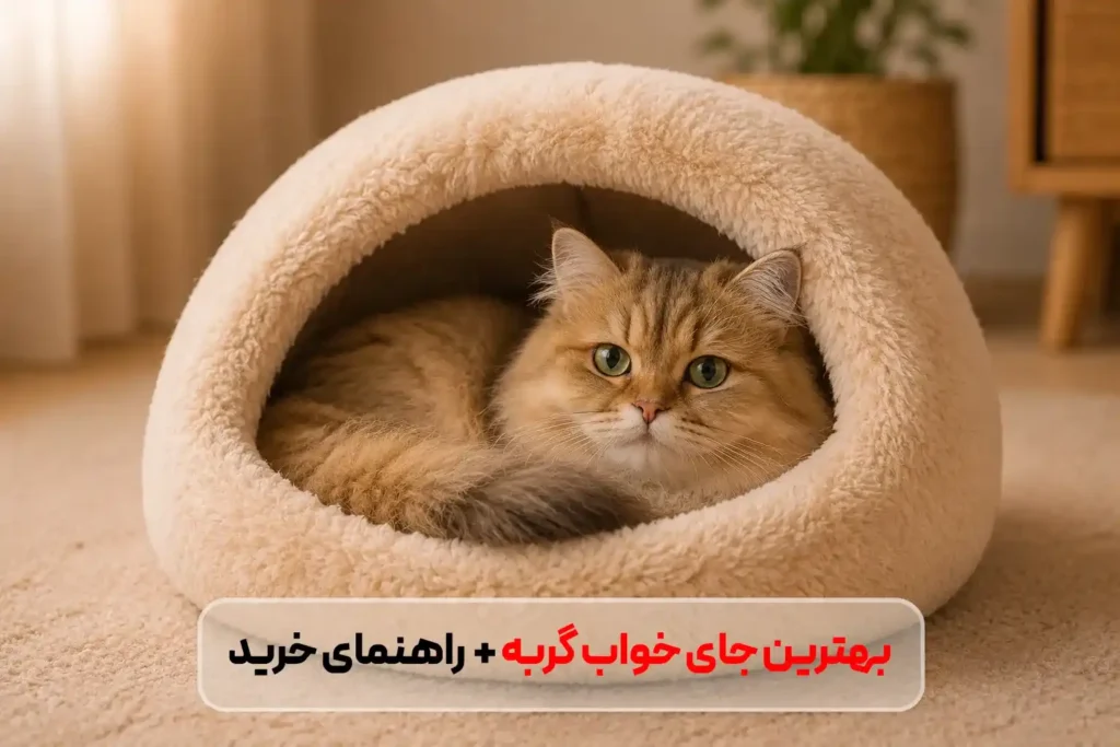 بهترین جای خواب گربه؛ راهنمای خرید و انتخاب مدل مناسب بر اساس شخصیت گربه