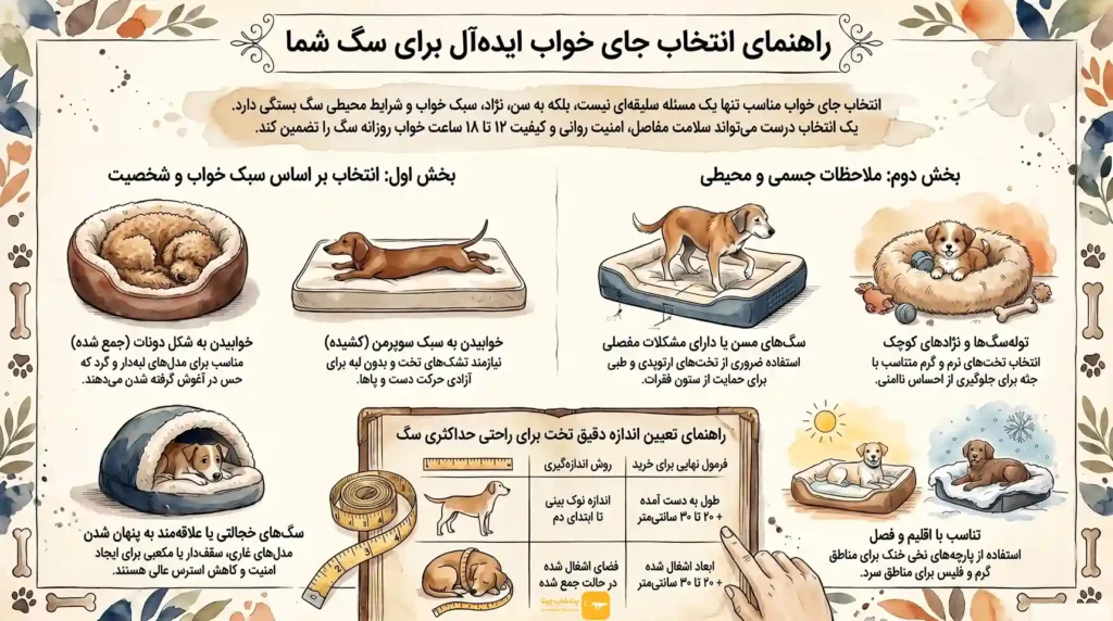 اینفوگرافی انتخاب جای خواب سگ