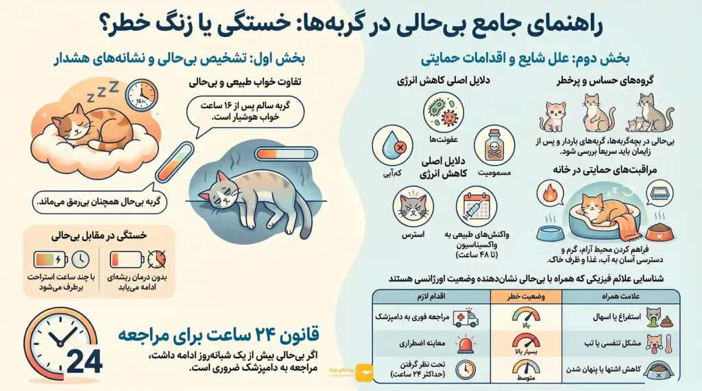 اینفوگرافی علت بی حالی گربه