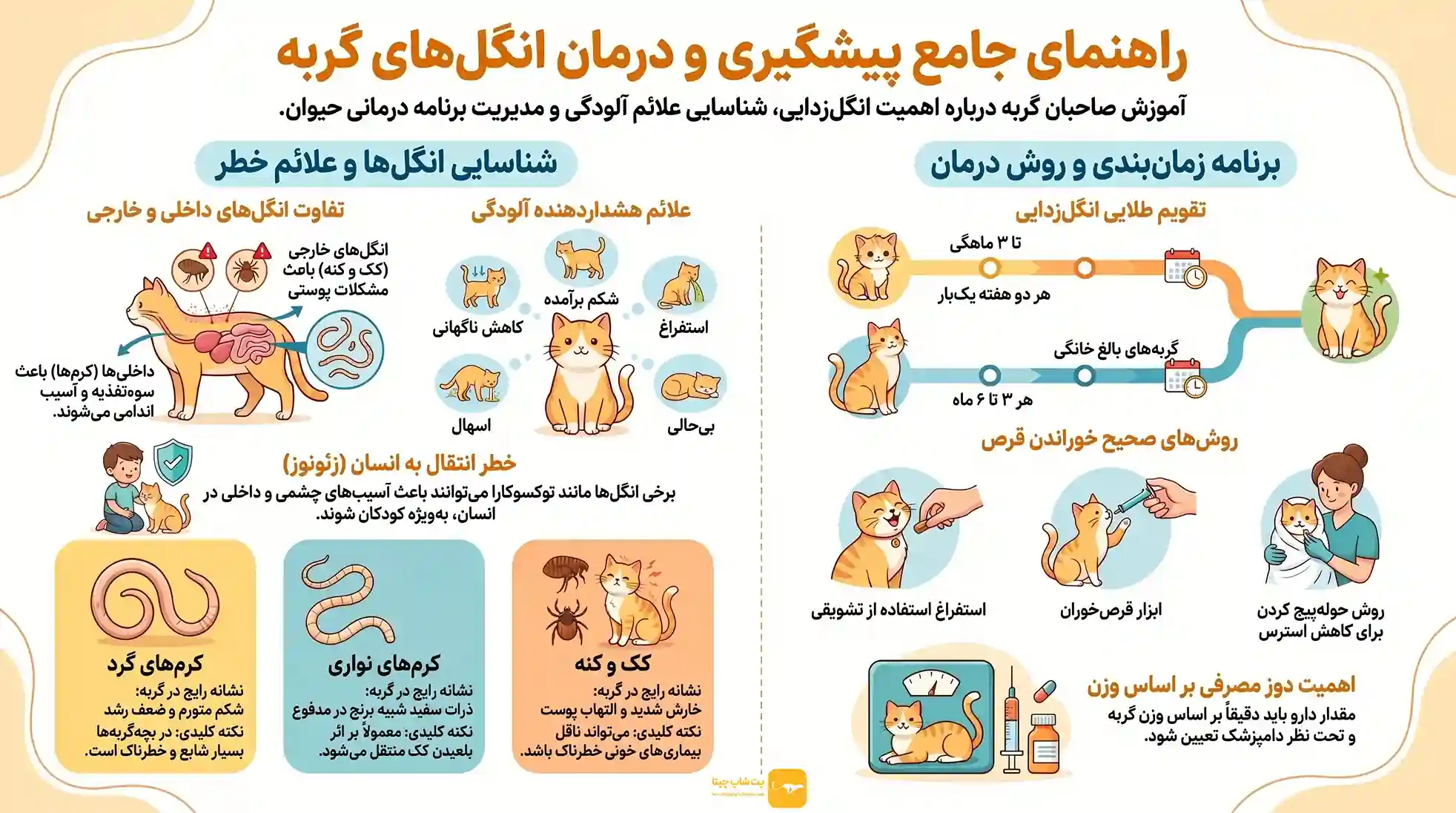 اینفوگرافی ضد انگل تراپی گربه