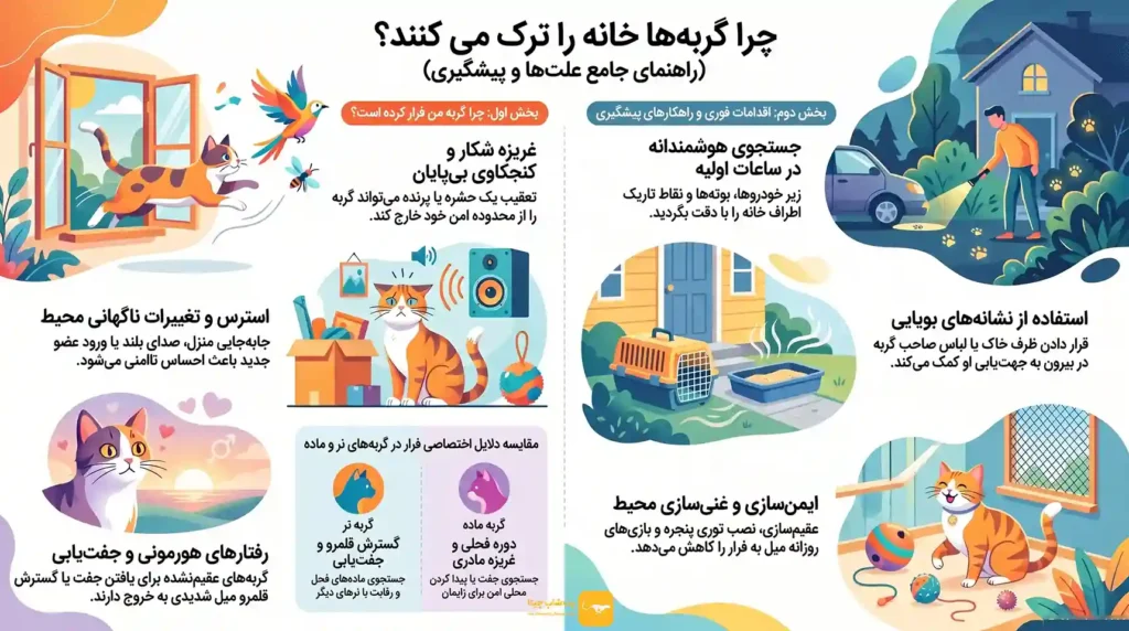 اینفوگرافی علت فرار گربه