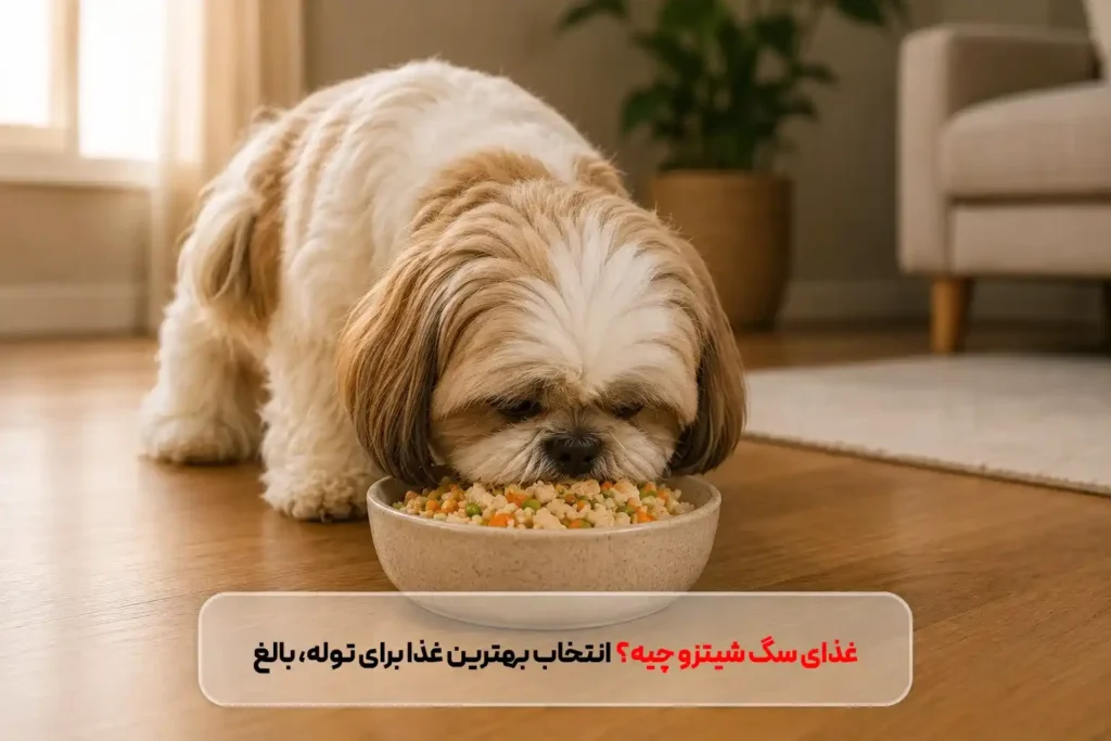 سگ شیتزو غذا چی میخوره