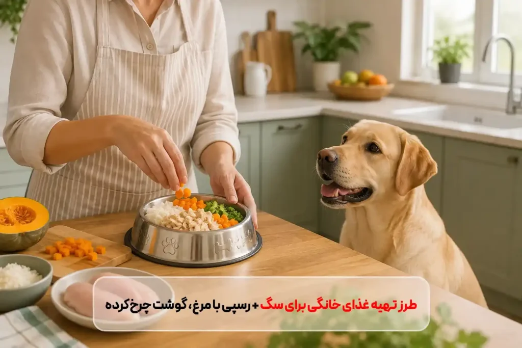 طرز تهیه غذای سگ