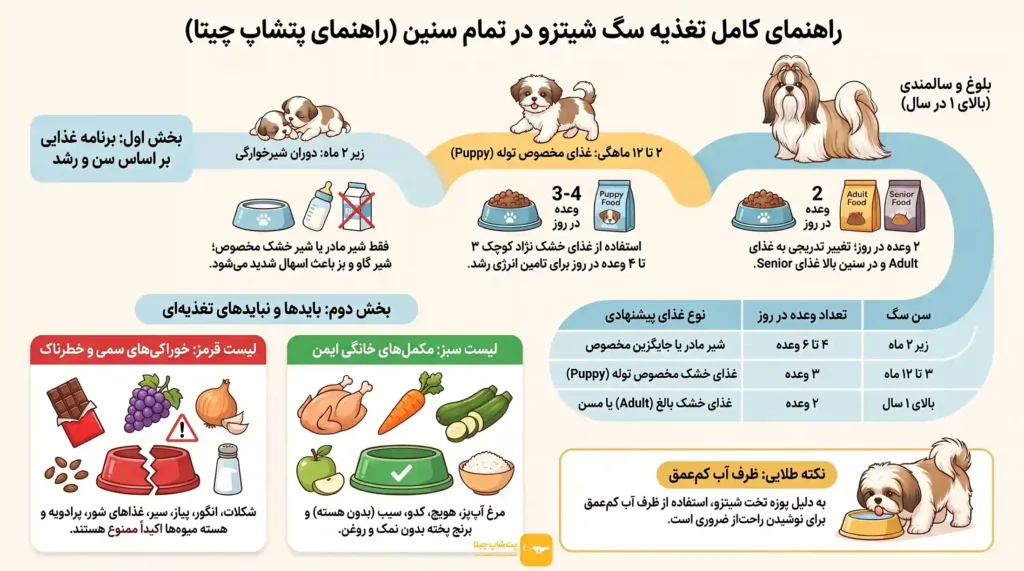 اینفوگرافی غذای سگ شیتزو