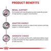 کاربرد و خواص renal رویال کنین سگ کاربرد و خواص renal رویال کنین سگ