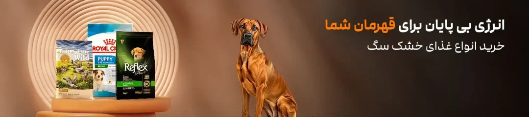 dog's-food-banner-min